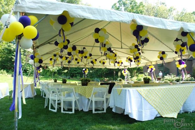Professional graduation setup